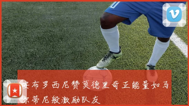 安布罗西尼赞莫德里奇正能量如马尔蒂尼般激励队友