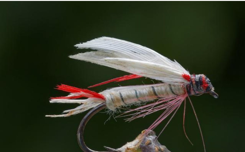 fly fishing hook