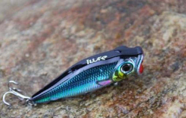 Lure
