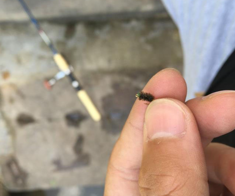Lure