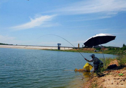 Reservoir fishing for carp