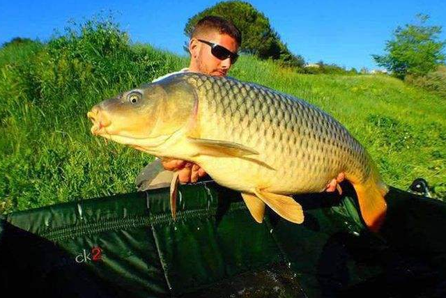 carp