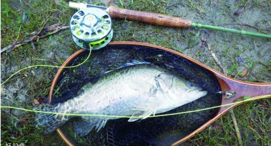 fly fishing