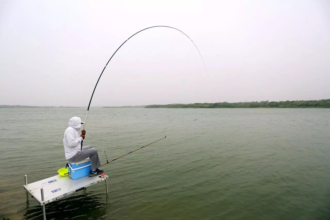 carp