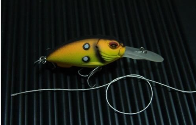 Lure