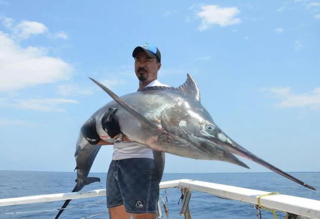 swordfish