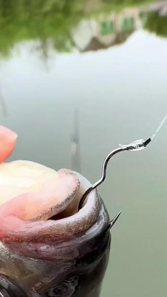 Remove the fishing hook
