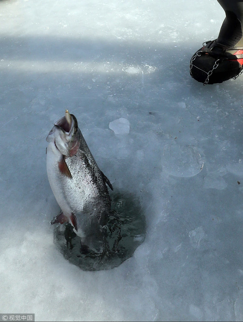 Ice Fishing