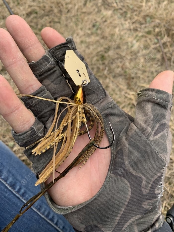 Chatterbait