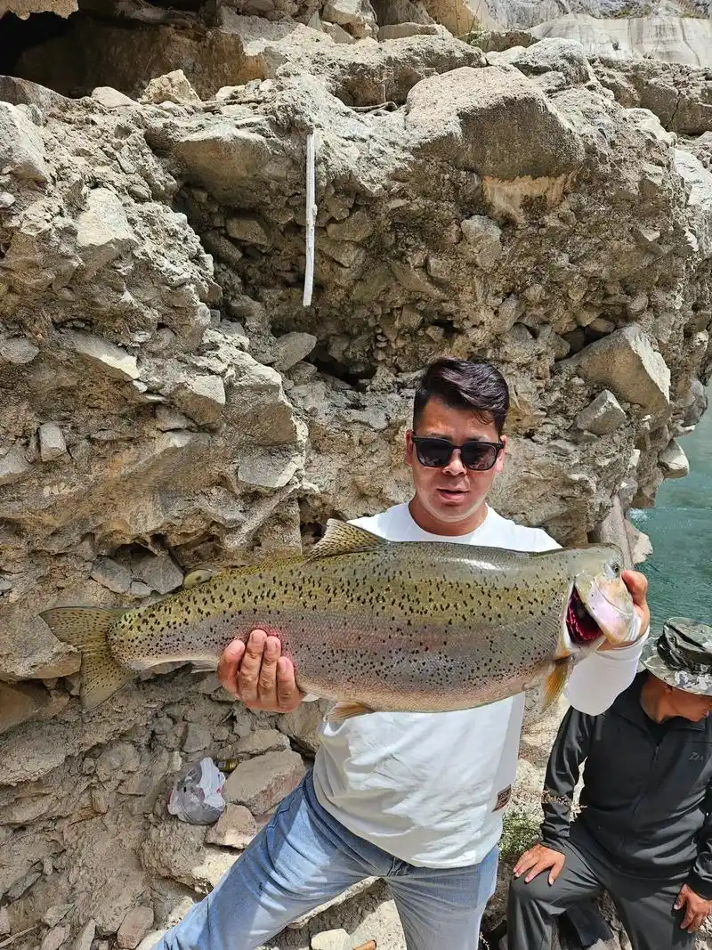 trout